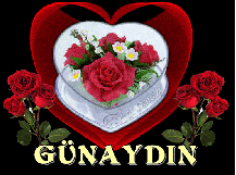 .gun.